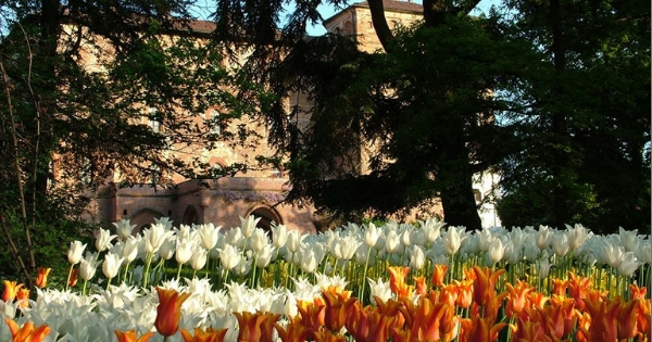 Al Castello di Pralormo, immersi nei Tulipani 