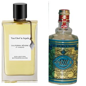 Toro profumo