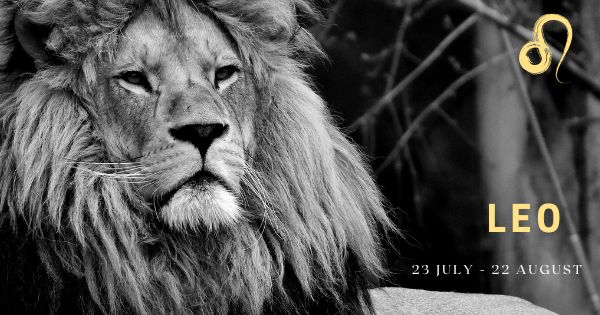 Auguri al più regale dei segni: il leone!!!