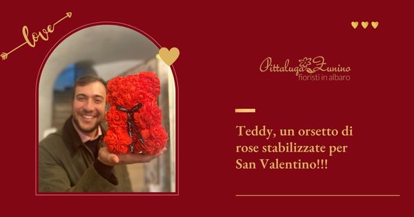 Teddy, un orsetto di rose stabilizzate per San Valentino!!!