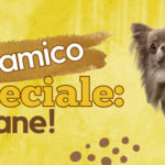 Un amico speciale … il cane!