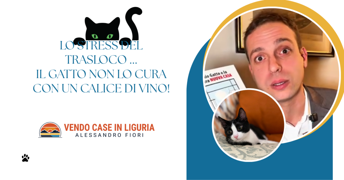 Lo stress del trasloco il gatto non lo cura con un calice di vino!