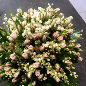 Fiori, colori, profumi ... è primavera! (2)