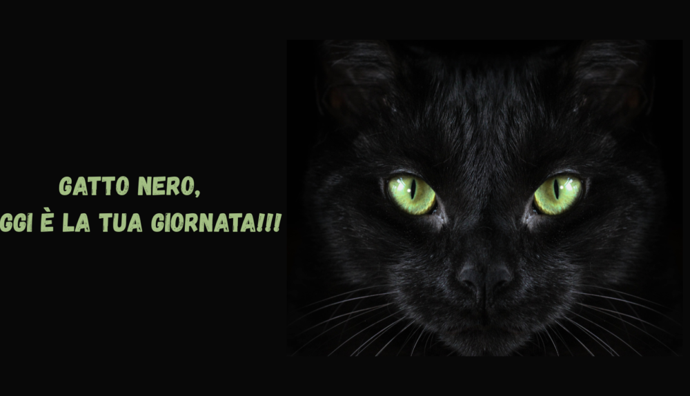 Gatto nero, oggi è la tua giornata!!!