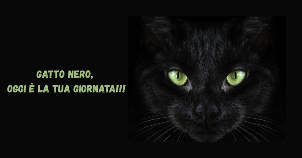 Gatto nero, oggi è la tua giornata!!!